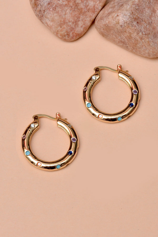 Party Wear Multicolor Hoop Earrings