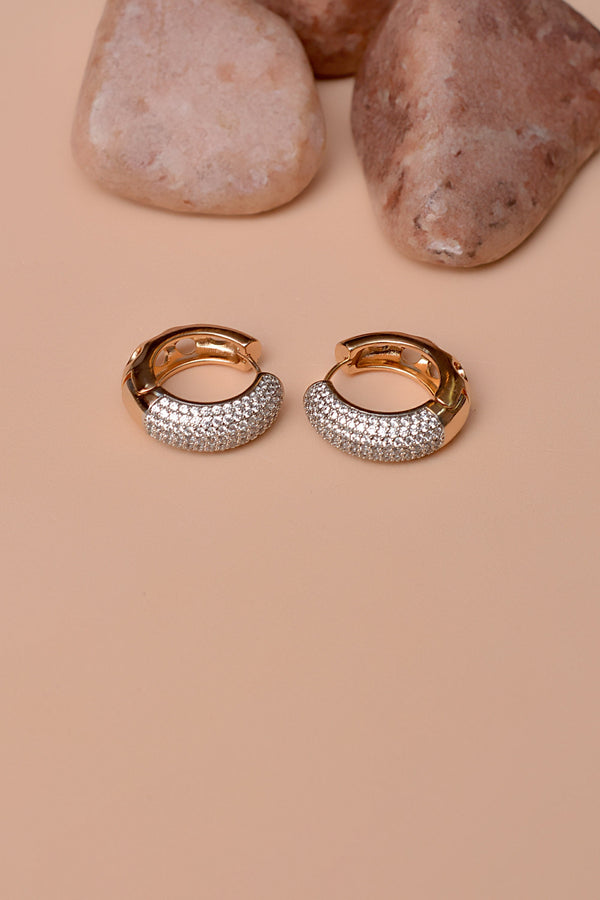 Daily Wear Dual Tone Hoop Earrings