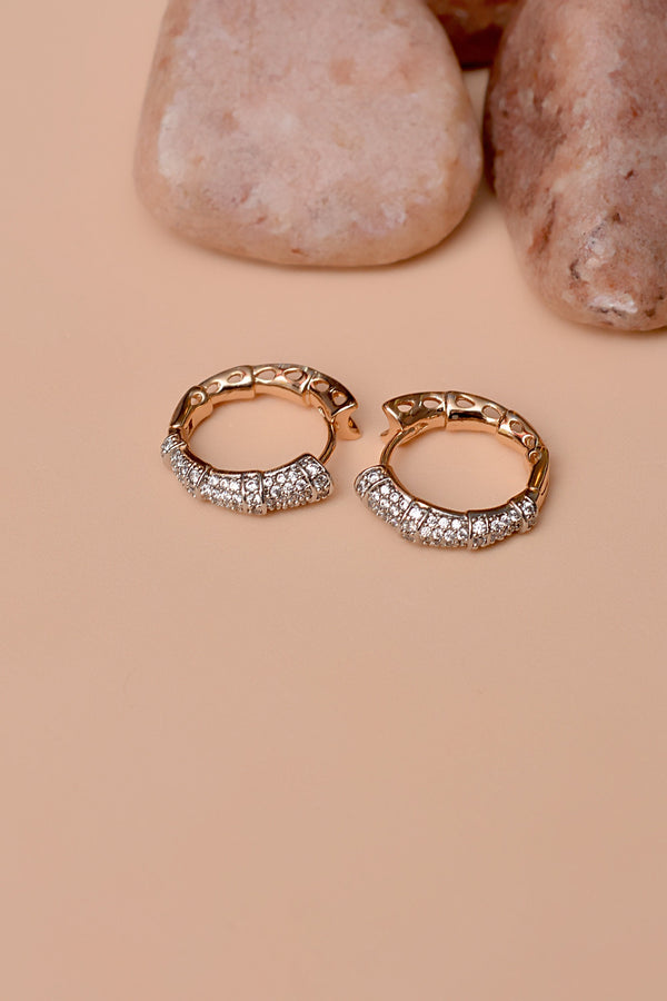 Daily Wear Dual Tone Hoop Earrings