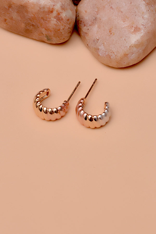 Daily Wear Dual Tone Earrings