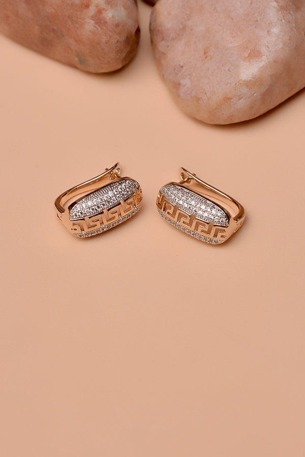 Daily Wear Dual Tone Hoop Earrings
