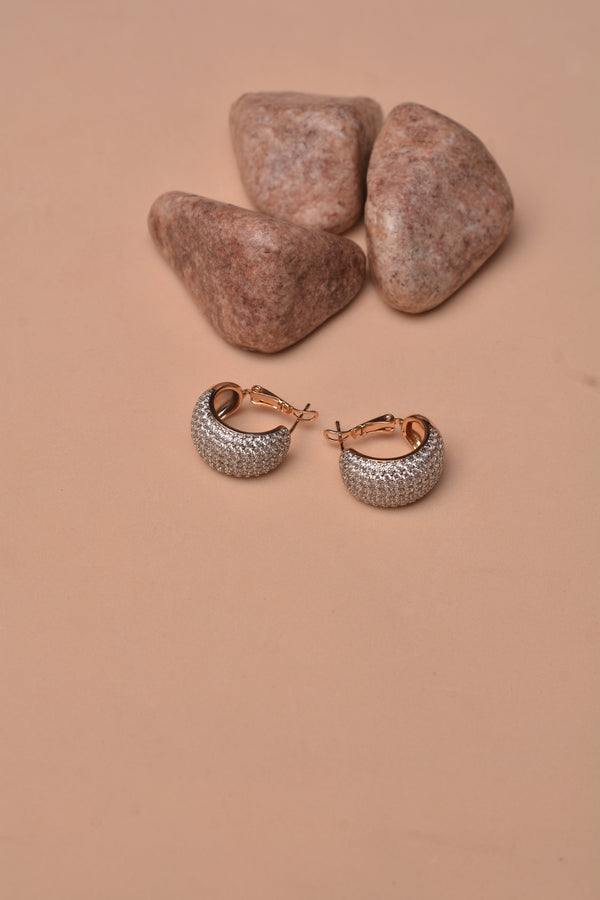 Daily Wear Dual Tone Earrings