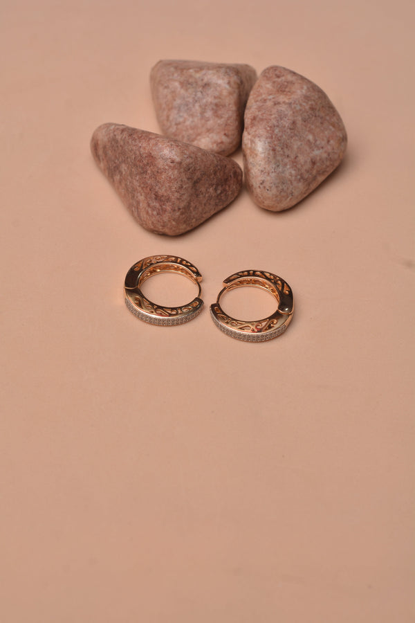 Daily Wear Dual Tone Earrings
