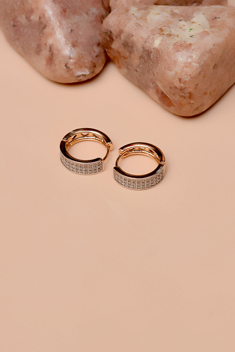 Daily Wear Dual Tone Earrings