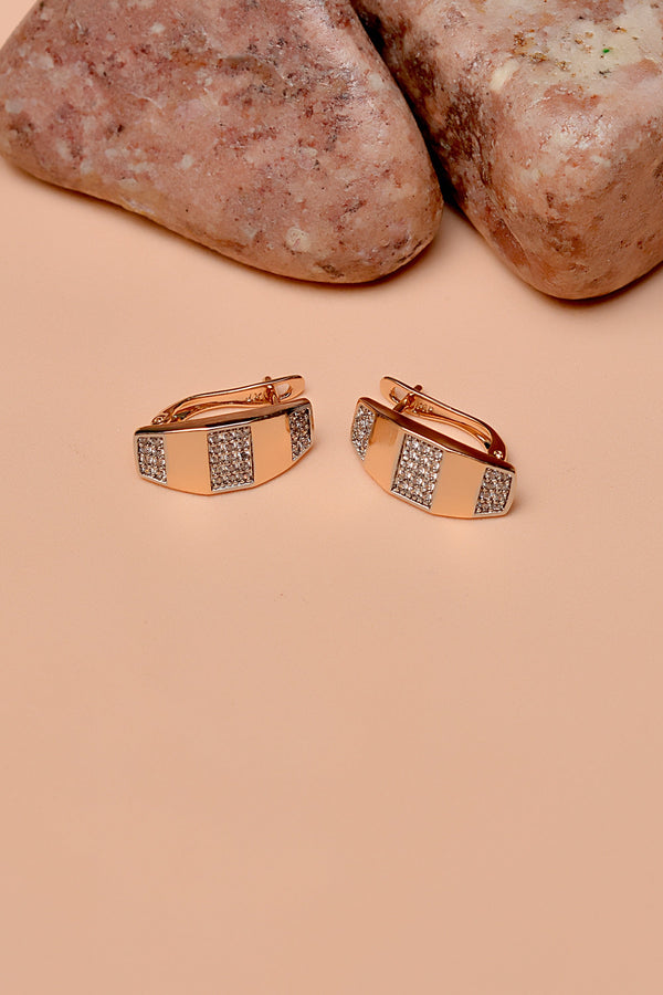 Daily Wear Dual Tone Hoop Earrings