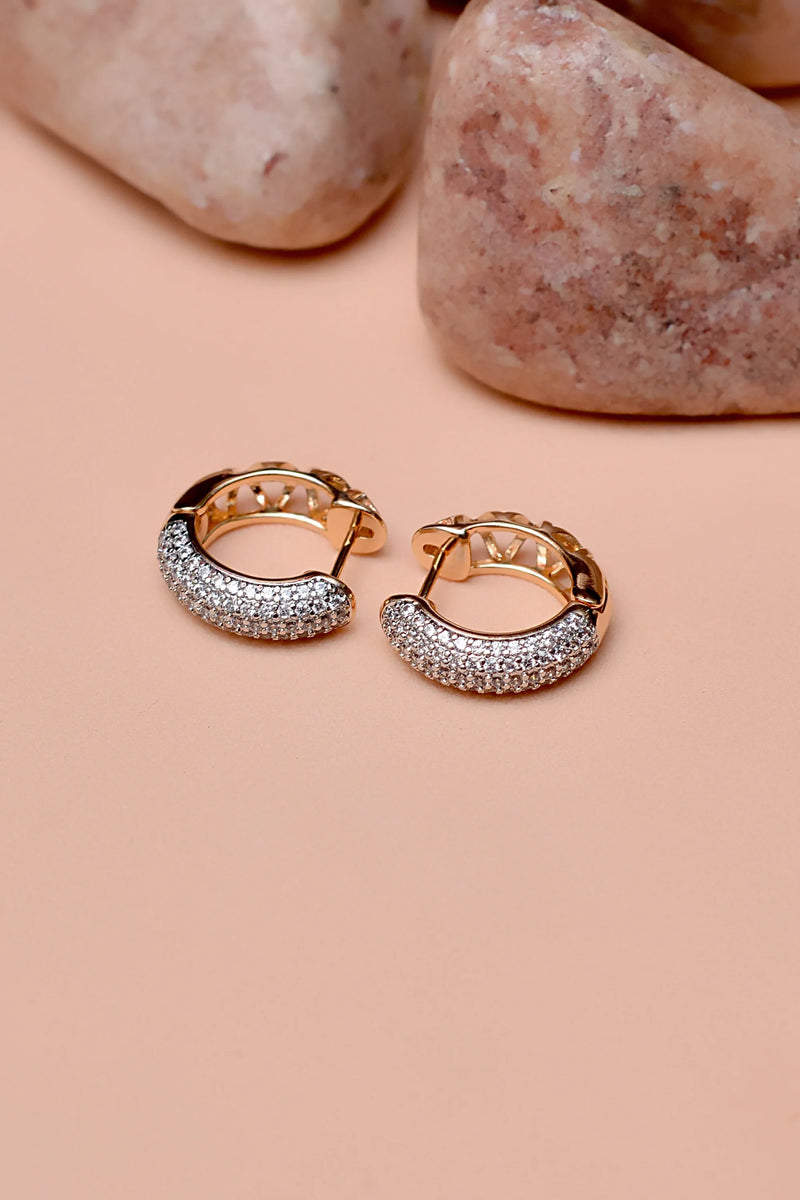 Daily Wear Dual Tone Hoop Earrings