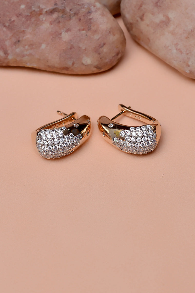 Daily Wear Dual Tone Hoop Earrings