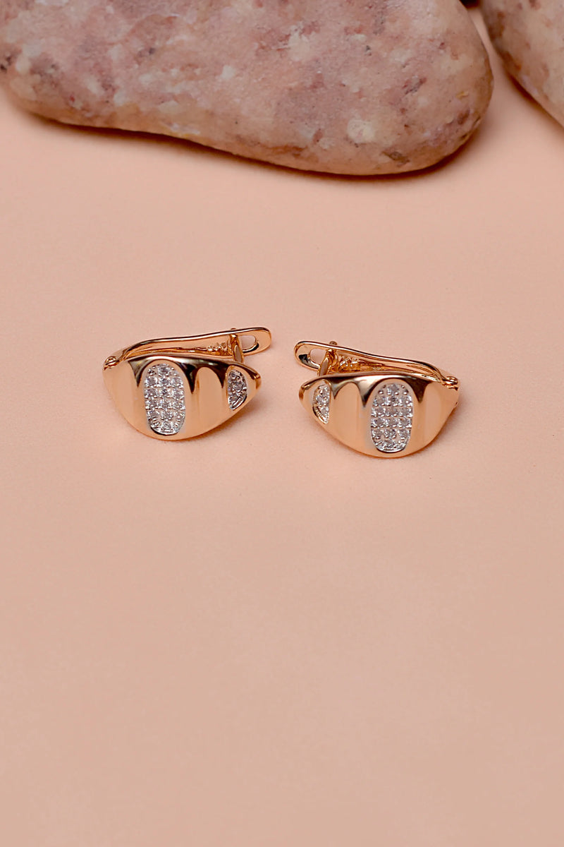 Daily Wear Dual Tone Hoop Earrings