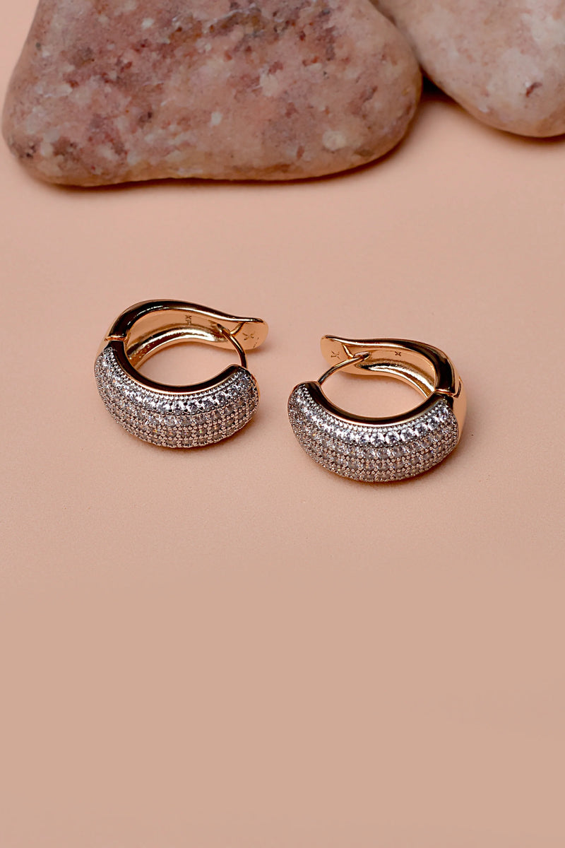 Daily Wear Dual Tone Hoop Earrings