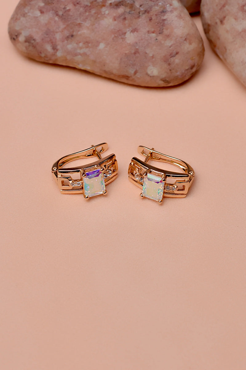 Daily Wear Multicolor Hoop Earrings