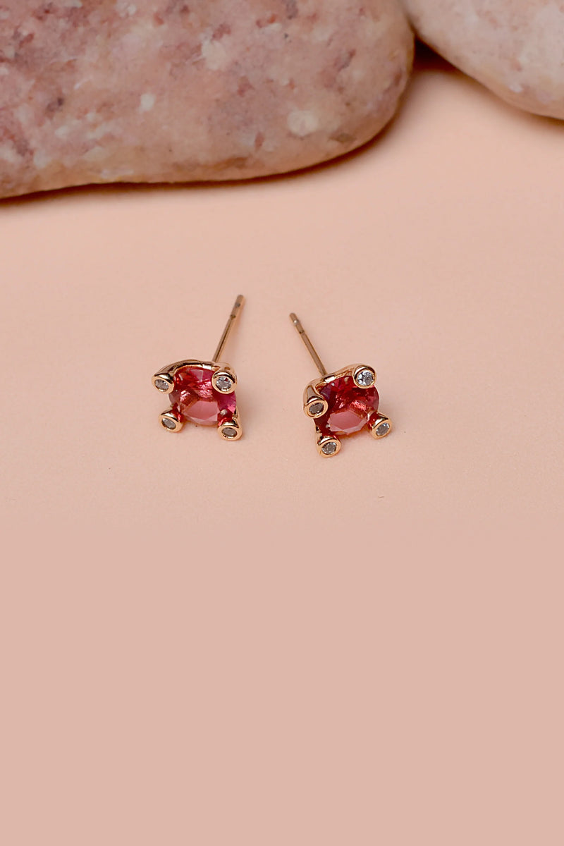 Daily Wear Pink Hoop Earrings